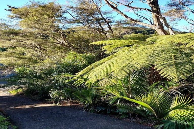 Photo of property in 55 Sylvan Valley Avenue, Titirangi, Auckland, 0604
