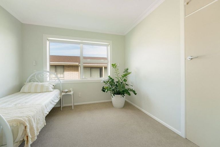 Photo of property in 11 Lee Street, Mount Maunganui, 3116