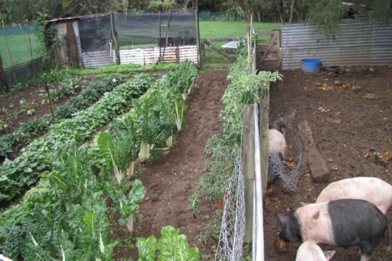 Photo of property in 5114 Te Araroa Road, Hicks Bay, Tikitiki, 4087