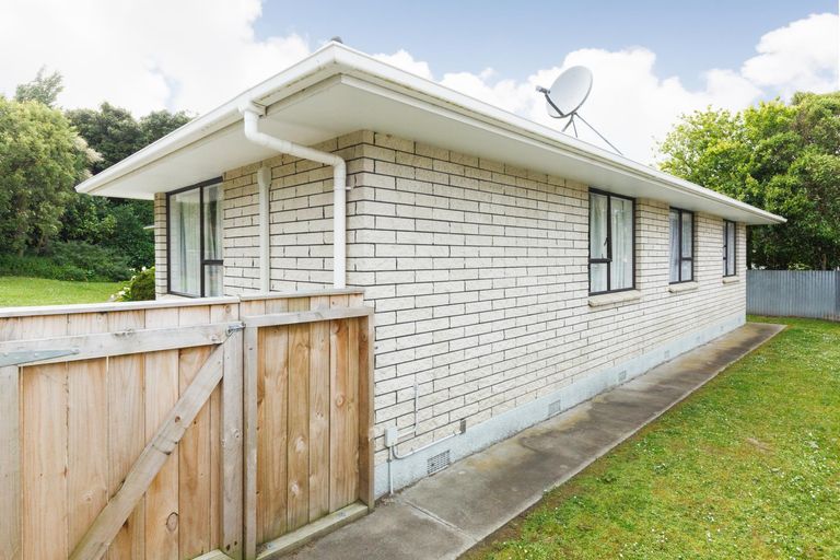Photo of property in 155a Ruahine Street, Roslyn, Palmerston North, 4414