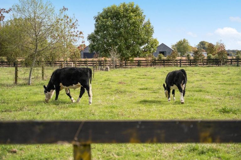 Photo of property in 639a Tauwhare Road, Matangi, Hamilton, 3287