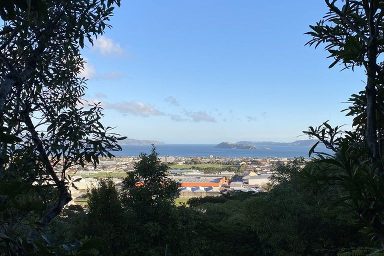 Photo of property in 6 Jacaranda Grove, Maungaraki, Lower Hutt, 5010