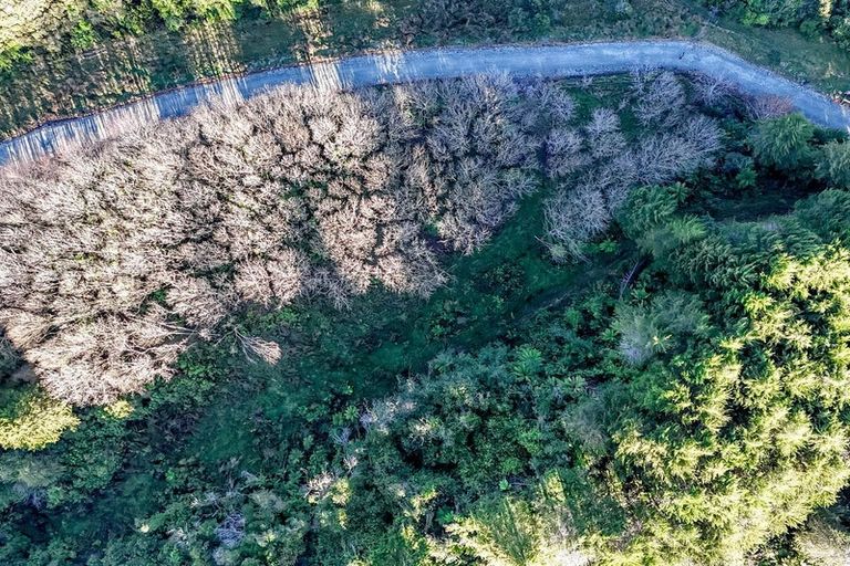 Photo of property in 754 Rutherglen Road, Marsden, Greymouth, 7872