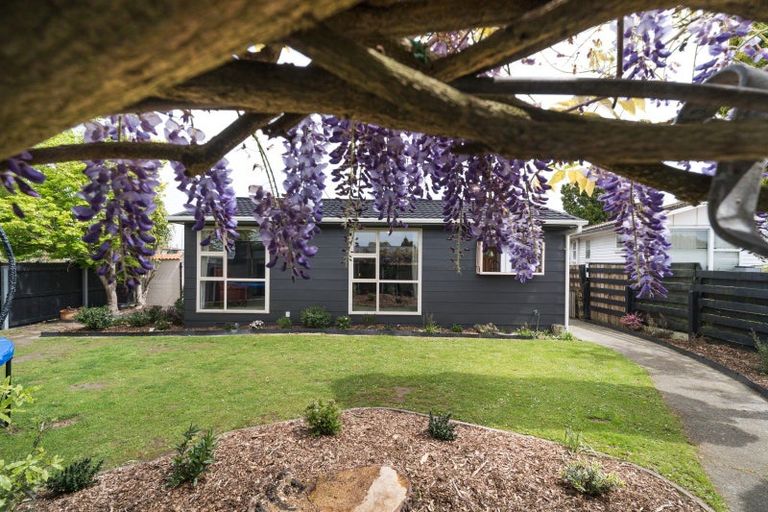 Photo of property in 50 Pitama Road, Awapuni, Palmerston North, 4412