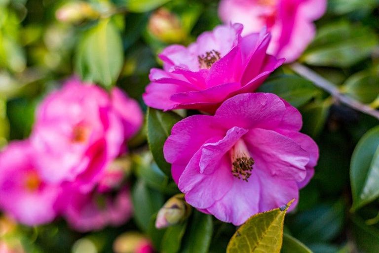 Photo of property in 15 Kiriwai Road, Paremata, Porirua, 5024