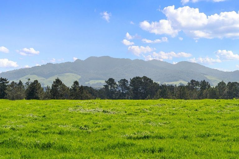 Photo of property in 14a Darby Road, Arapuni, Putaruru, 3481
