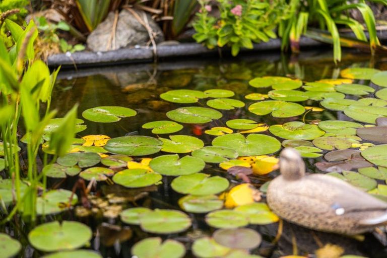 Photo of property in 52 Kowhai Street, Castlecliff, Whanganui, 4501