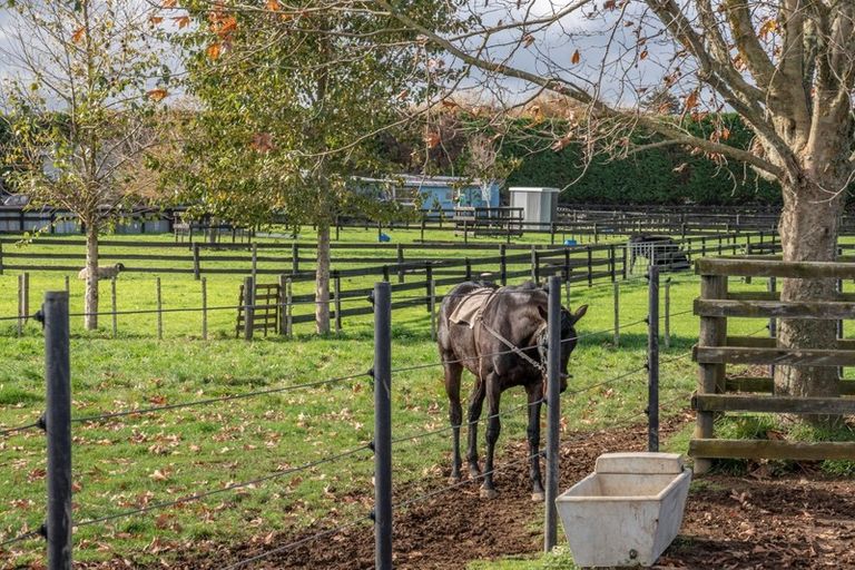 Photo of property in 2/101 Racecourse Road, Cambridge, 3493