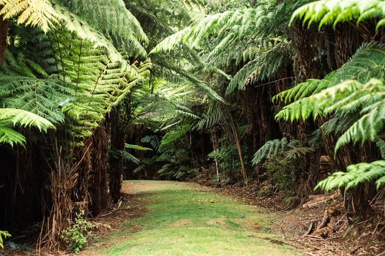 Photo of property in 183 Rangitane Road, Kerikeri, 0294