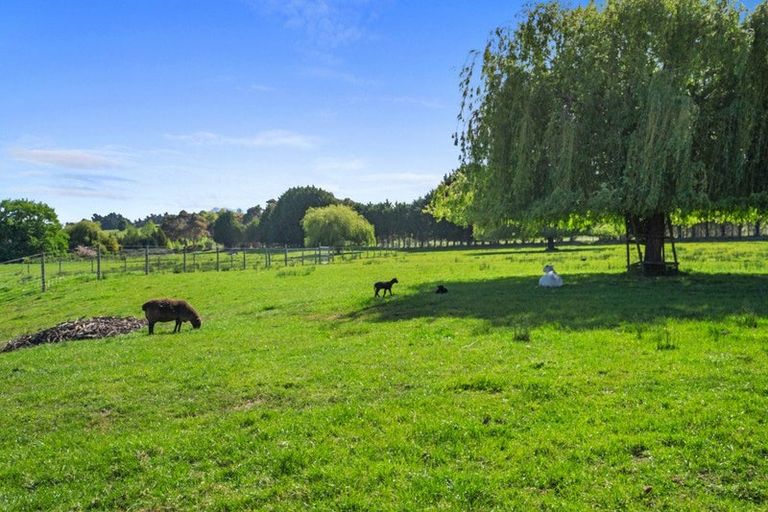 Photo of property in 71 Waiwhero Road, Lower Moutere, Upper Moutere, 7175