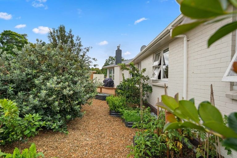 Photo of property in 14 Martin Place, Whakatane, 3120