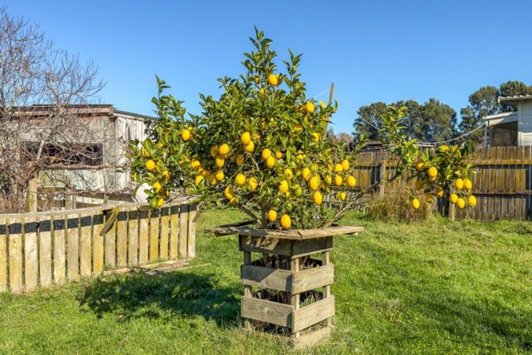 Photo of property in 6736 Wilson Road, Netherton, Paeroa, 3671