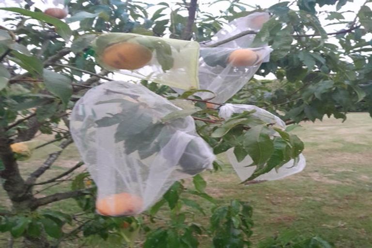 Photo of property in 897 Sandy Knolls Road, West Melton, Christchurch, 7675