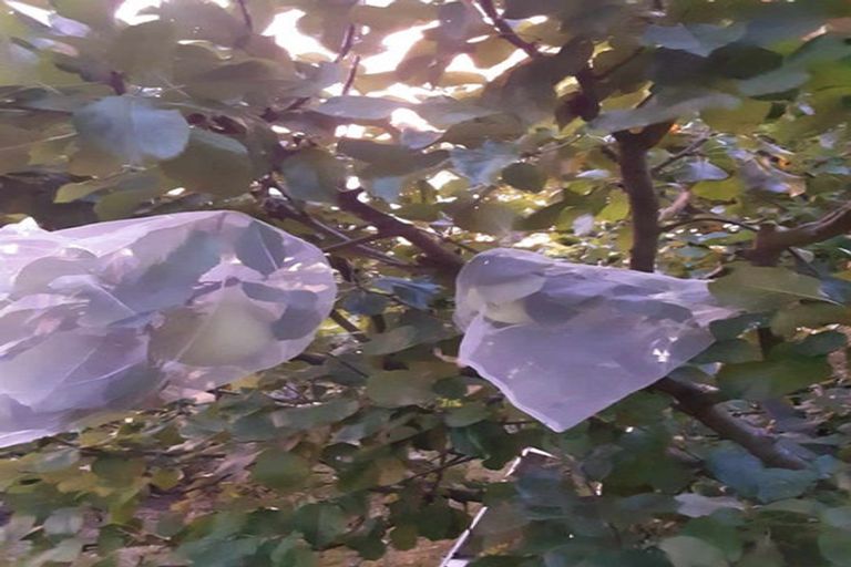 Photo of property in 897 Sandy Knolls Road, West Melton, Christchurch, 7675