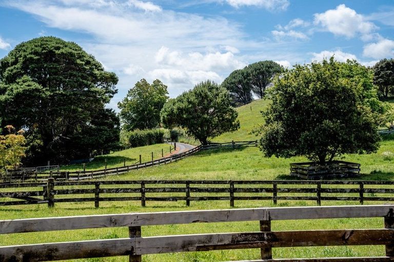 Photo of property in 405 Wainui South Road, Whakamarama, Katikati, 3181