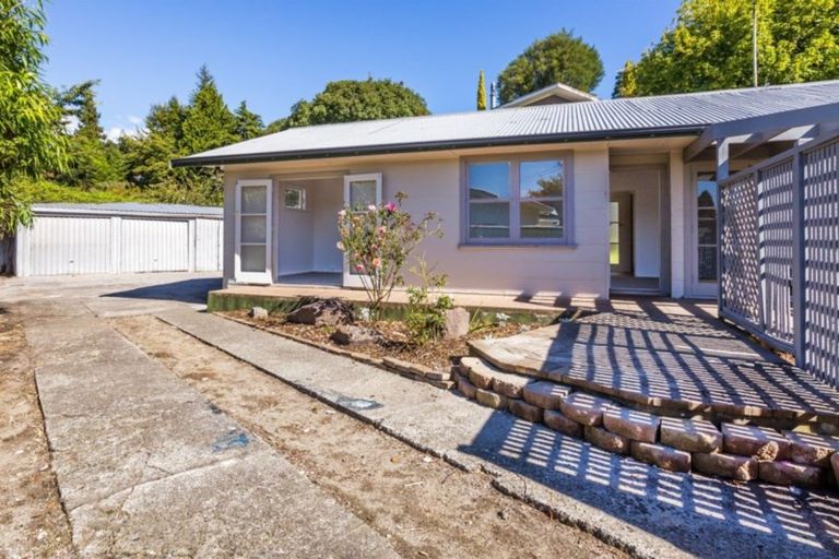 Photo of property in 141 Rickit Street, Taupo, 3330