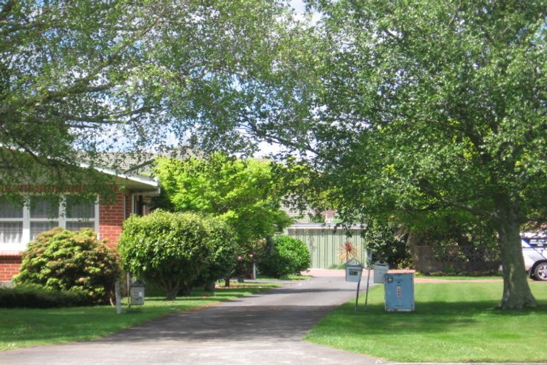 Photo of property in 38 Burwood Road, Matamata, 3400