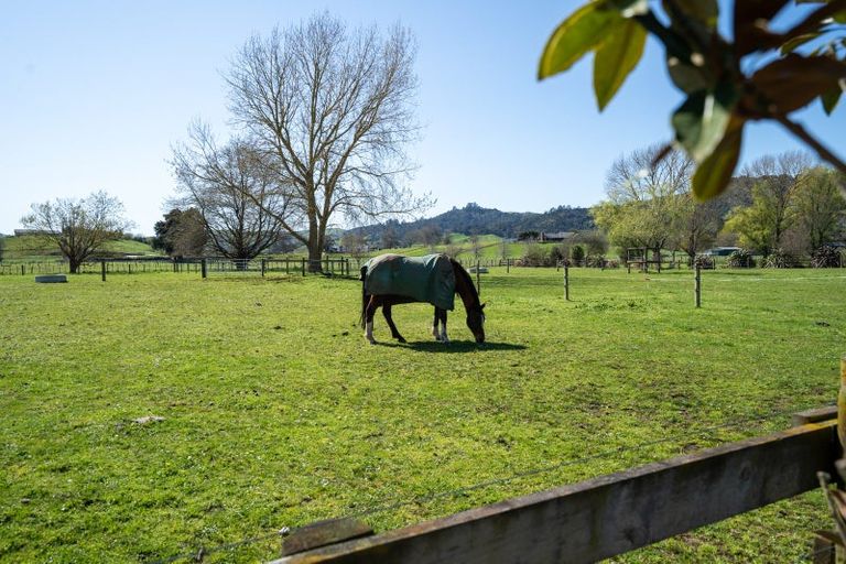 Photo of property in 5/103 Maungakawa Road, Cambridge, 3496