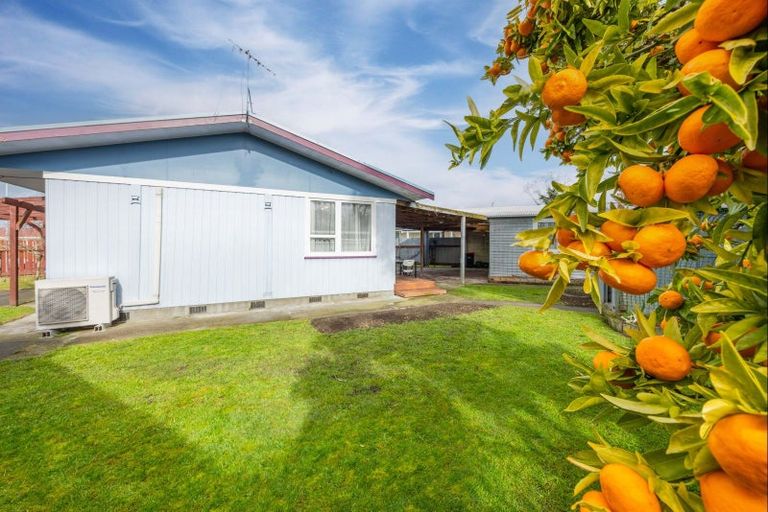 Photo of property in 24 Essex Street, Tamatea, Napier, 4112