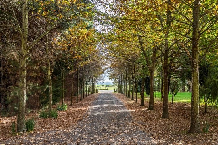 Photo of property in 265 No 1 Line, Tauwharenikau, Featherston, 5771