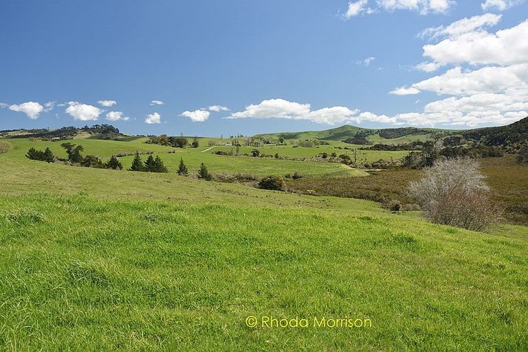 Photo of property in 41 Manurere Rise, Tinopai, 0593
