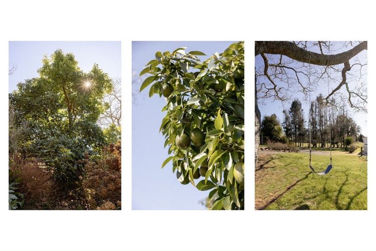 Photo of property in 1255 Braemar Road, Rotoma, Whakatane, 3192