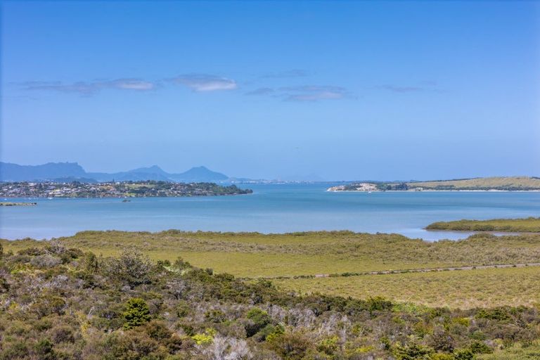 Photo of property in 123 Toetoe Road, Otaika, Whangarei, 0170