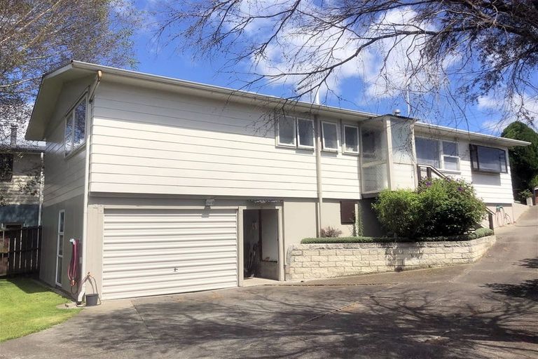 Photo of property in 57 Tavistock Road, Waipukurau, 4200