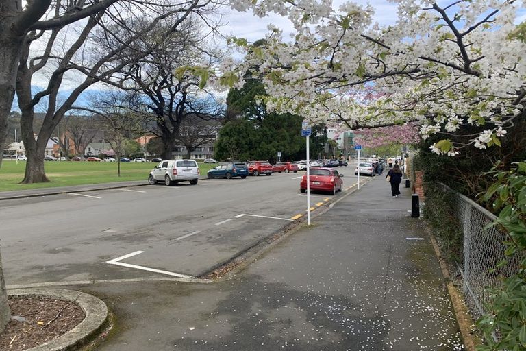 Photo of property in 38 Saint David Street, North Dunedin, Dunedin, 9016