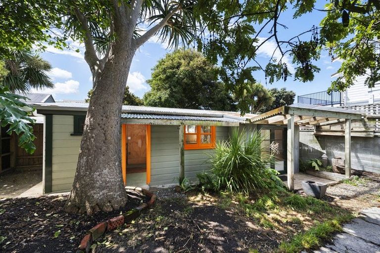 Photo of property in 29 Wright Street, Mount Cook, Wellington, 6021