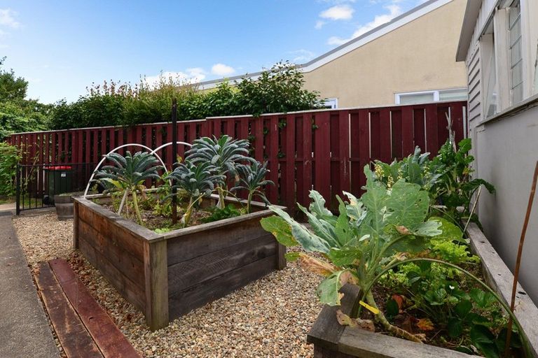 Photo of property in 293 Bankwood Road, Chartwell, Hamilton, 3210