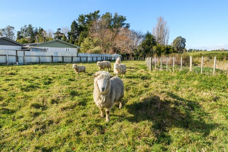 Photo of property in 9 Totara Street, Marton, 4710