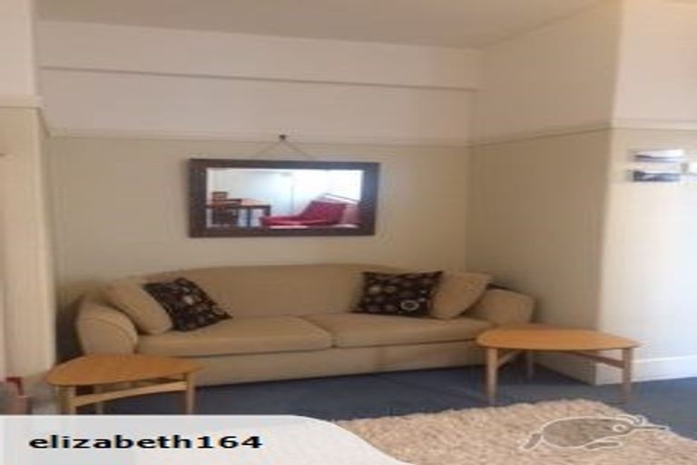Photo of property in Blythswood Flats, 3f7 Aro Street, Aro Valley, Wellington, 6021