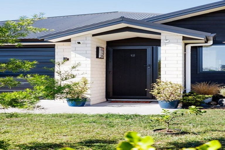 Photo of property in 12 Ruru Street, Cambridge, 3434