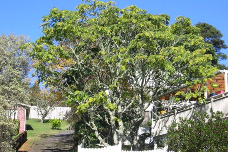 Photo of property in 102 Daffodil Street, Titirangi, Auckland, 0604