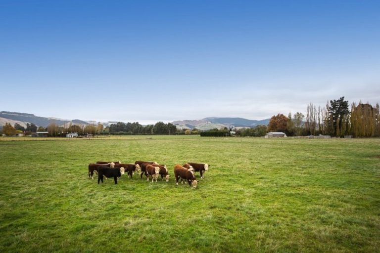 Photo of property in 101 Dukes Road North, Mosgiel, 9092