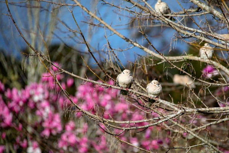 Photo of property in 19-21 Mountain Road, Henderson Valley, Auckland, 0612