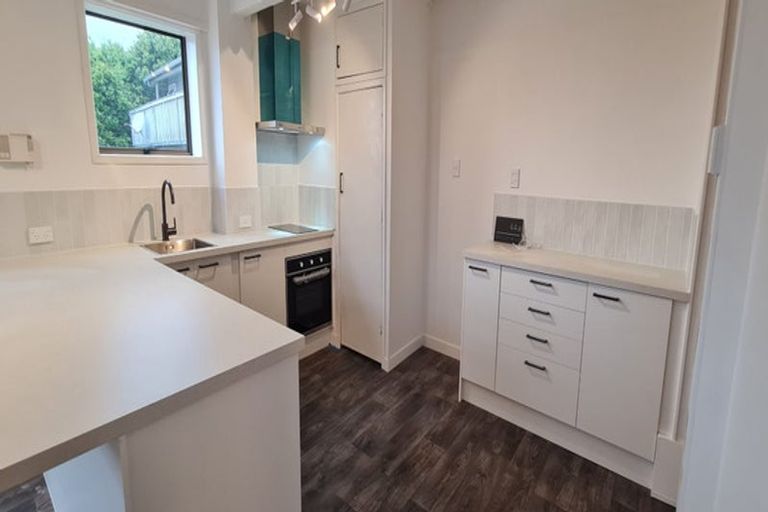 Photo of property in 44 Exmouth Road, Northcote, Auckland, 0627