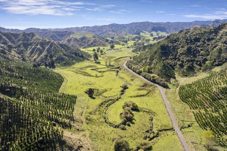 Photo of property in 2560 Rawhitiroa Road, Matemateaonga, Eltham, 4399