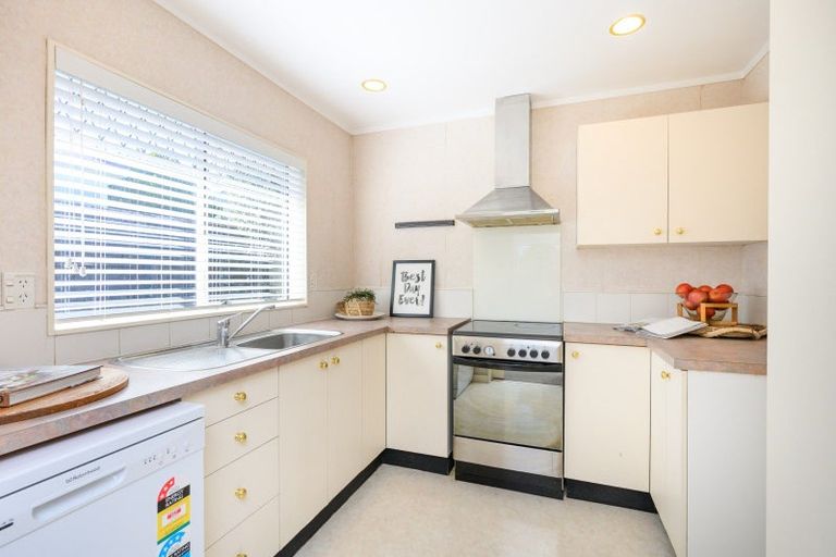 Photo of property in 273 Ruahine Street, Terrace End, Palmerston North, 4410