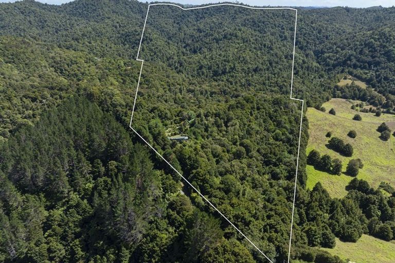 Photo of property in 58 Airstrip Road, Kaeo, 0479