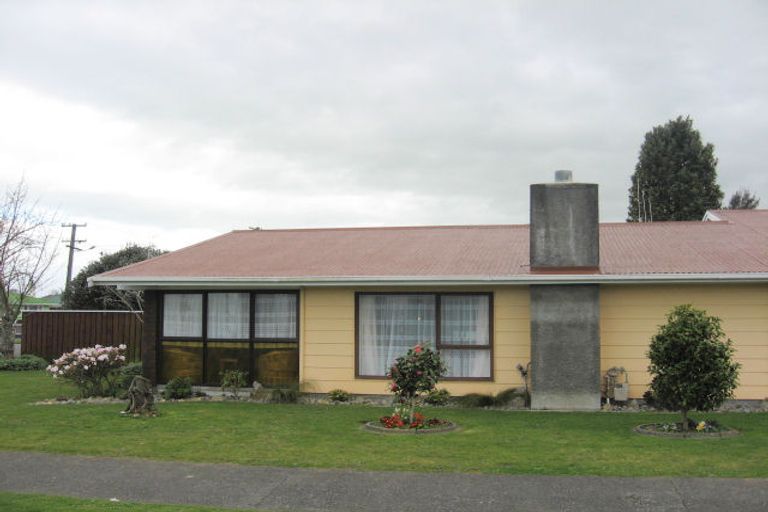 Photo of property in 117 Liverpool Street, Levin, 5510
