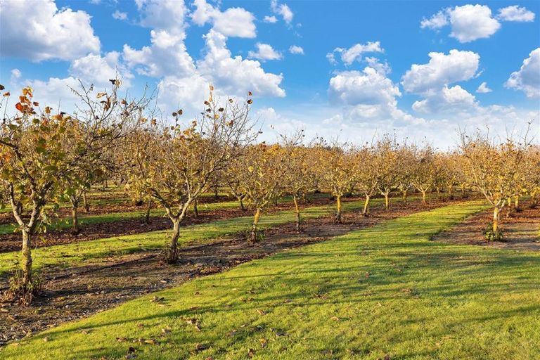 Photo of property in 21 Orchard Place, Clarkville, Kaiapoi, 7691