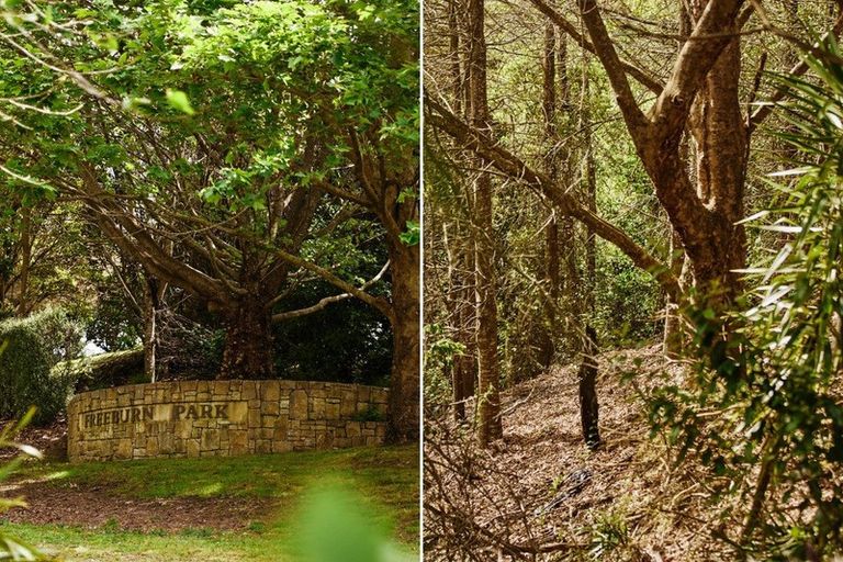 Photo of property in 7r Molloy Rise, Pyes Pa, Tauranga, 3112