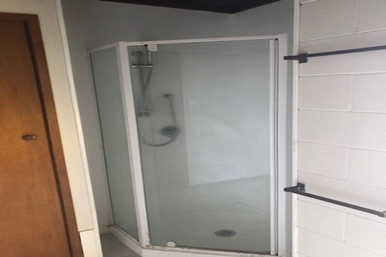 Photo of property in 124c Galloway Street, Hamilton East, Hamilton, 3216