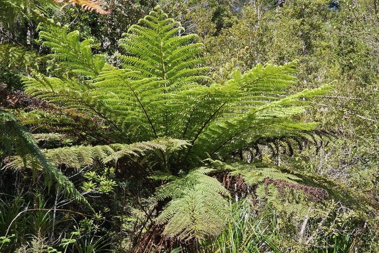 Photo of property in 215 Clifton Road, Kaiata, Greymouth, 7805