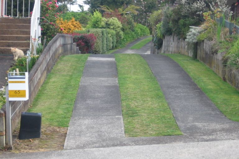 Photo of property in 65 Botanical Road, Tauranga South, Tauranga, 3112