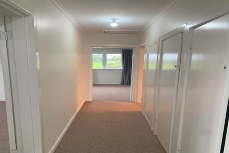 Photo of property in 223 Wright Road, Waiau Pa, Pukekohe, 2679