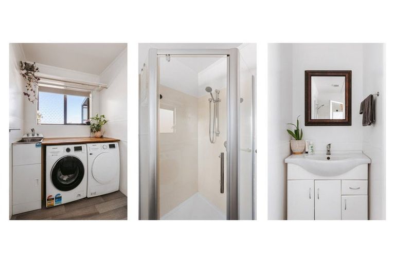 Photo of property in 55 Bongard Street, Gate Pa, Tauranga, 3112