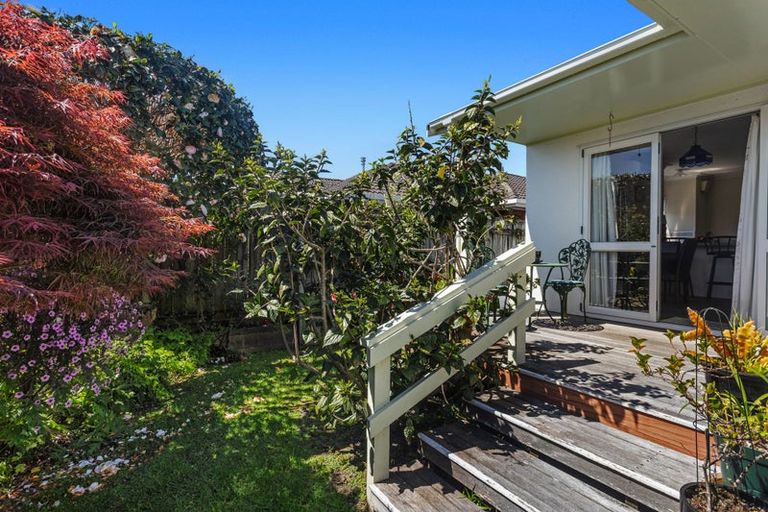 Photo of property in 1/74 Victoria Avenue, Whakatane, 3120